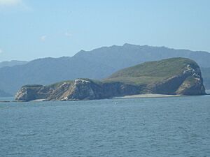 Archivo:Isla Guayabo, golfo de Nicoya. Costa Rica