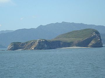 Isla Guayabo, golfo de Nicoya. Costa Rica