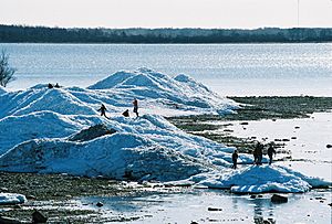 Archivo:Jäämäed Puhtulaiul 1