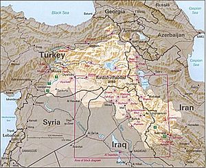Archivo:Kurdish-inhabited area by CIA (1992)