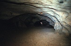Archivo:La Gran Vía (interior de la cueva del Reguerillo), marzo de 2006