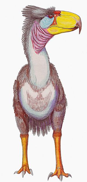 Archivo:Life reconstruction of the terror bird Titanis walleri