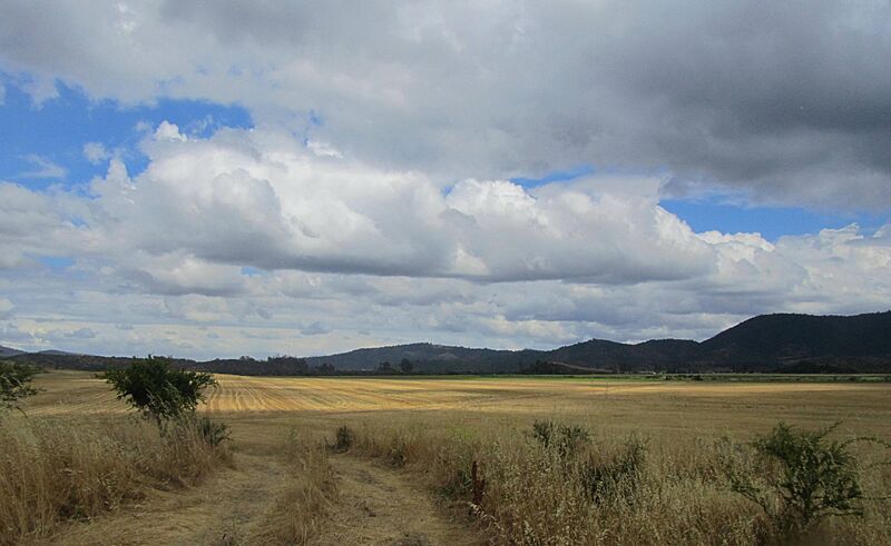 Lo Orrego (72478543)