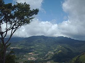 Lomas de Cubiro. Lara Venezuela.JPG