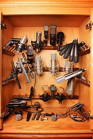 Microphone Closet - In Your Ear Studios.jpg