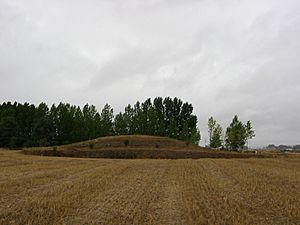 Archivo:Mota del antiguo castillo de Renedo de Valdavia