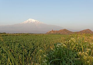 Mount Ararat and Khor Virap, Sunrise, Ararat Plain, Armenia.jpg
