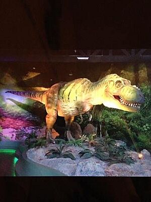 Archivo:Museo de la Evolución
