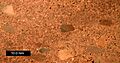 OldRedSandstone2