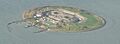 Pampus 20041105 2429