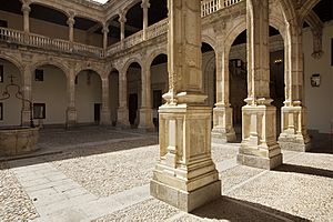 Archivo:Peñaranda de Duero, Palacio de Avellaneda-PM 17584