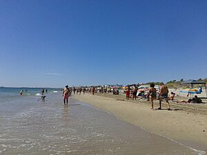 Archivo:Playas de Pilar de la Horadada