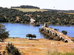 Archivo:Puente Ayuda sobre el Guadiana ,fronterizo entre España(Badajoz) y Portugal(Elvas)