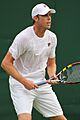 Querrey WM14 (10) (14643504975)