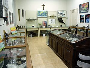 Archivo:Sala Carles del museo Geológico del Seminario de Barcelona