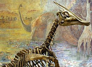Archivo:Saurolophus (1)