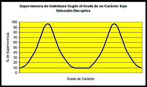 Archivo:Seleccion disruptiva