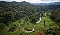 Selva tropical en la biosfera de el rio plátano Honduras