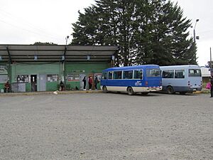 Archivo:Terminal de buses de purranque
