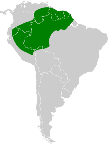 Thamnophilus murinus map