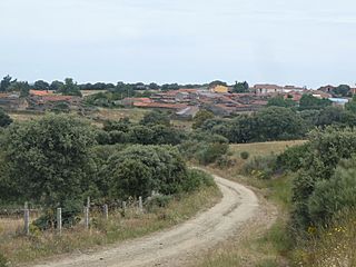 VILLAREJO - Zamarra - Salamanca.JPG