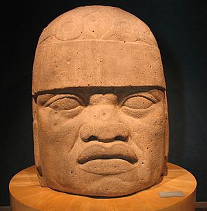Archivo:20041229-Olmec Head (Museo Nacional de Antropología)