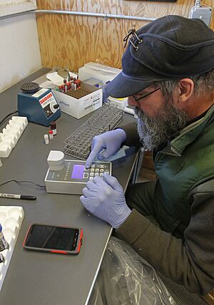 Archivo:28 of 35 Conducting Brucellosis exposure test at Stephens Creek lab 3650 (16545953236)