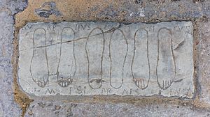 Archivo:Anfiteatro de las ruinas romanas de Itálica, Santiponce, Sevilla, España, 2015-12-06, DD 15