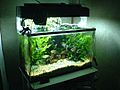 Aquarium 60cm