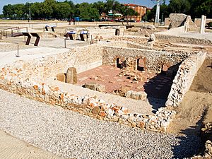 Archivo:Archaeological site of Complutum (thermae and Basilica)