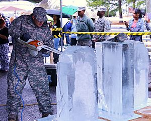 Archivo:Army Reserve team earns bronze in ice sculpting 150311-A-AA999-002