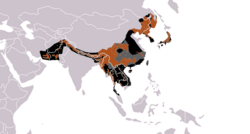 Área de distribución del oso tibetano(marron – existente, negro – extinto, gris oscuro – presencia incierta)