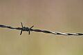 Barbed wire section