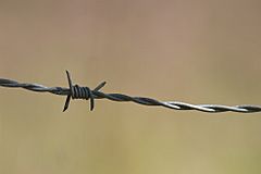 Archivo:Barbed wire section