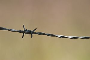Archivo:Barbed wire section