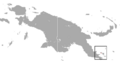 Black Dorcopsis area