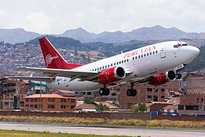 Archivo:Boeing 737-500 Peruvian Airlines