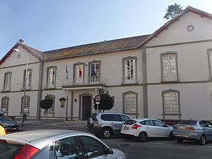 Archivo:Casa Larios, Torre del Mar 06