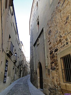 Archivo:Casa de Ovando-Mogollón, Perero y Paredes