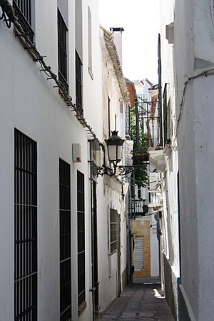 Archivo:Centro Histórico Marbella