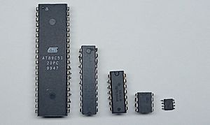 Archivo:Circuitos integrados de distintos tamaños