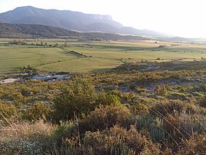 Archivo:Espuéndolas. Oroel