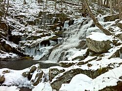 FallsBrookFalls-Hartland-CT-TunxisSF.JPG