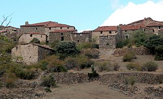 Garranzo 972272.jpg