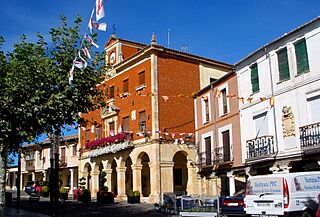 Herrera de Pisuerga - Plaza Mayor.jpg