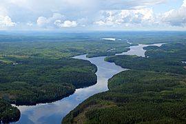 Archivo:Isojärvi Isojärven kansallispuisto 2