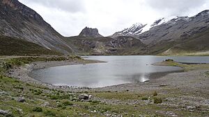 Archivo:Lago Chalhuasarinan 06432