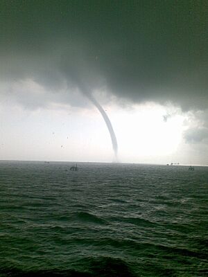 Archivo:Manguera en el Lago de Maracaibo