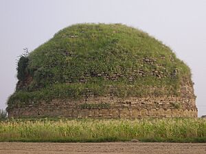 Archivo:Mankiala Stupa