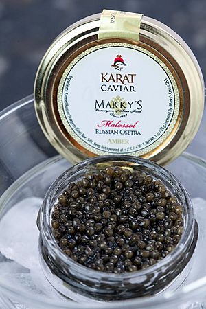 Archivo:Markys-caviar-karat-osetra